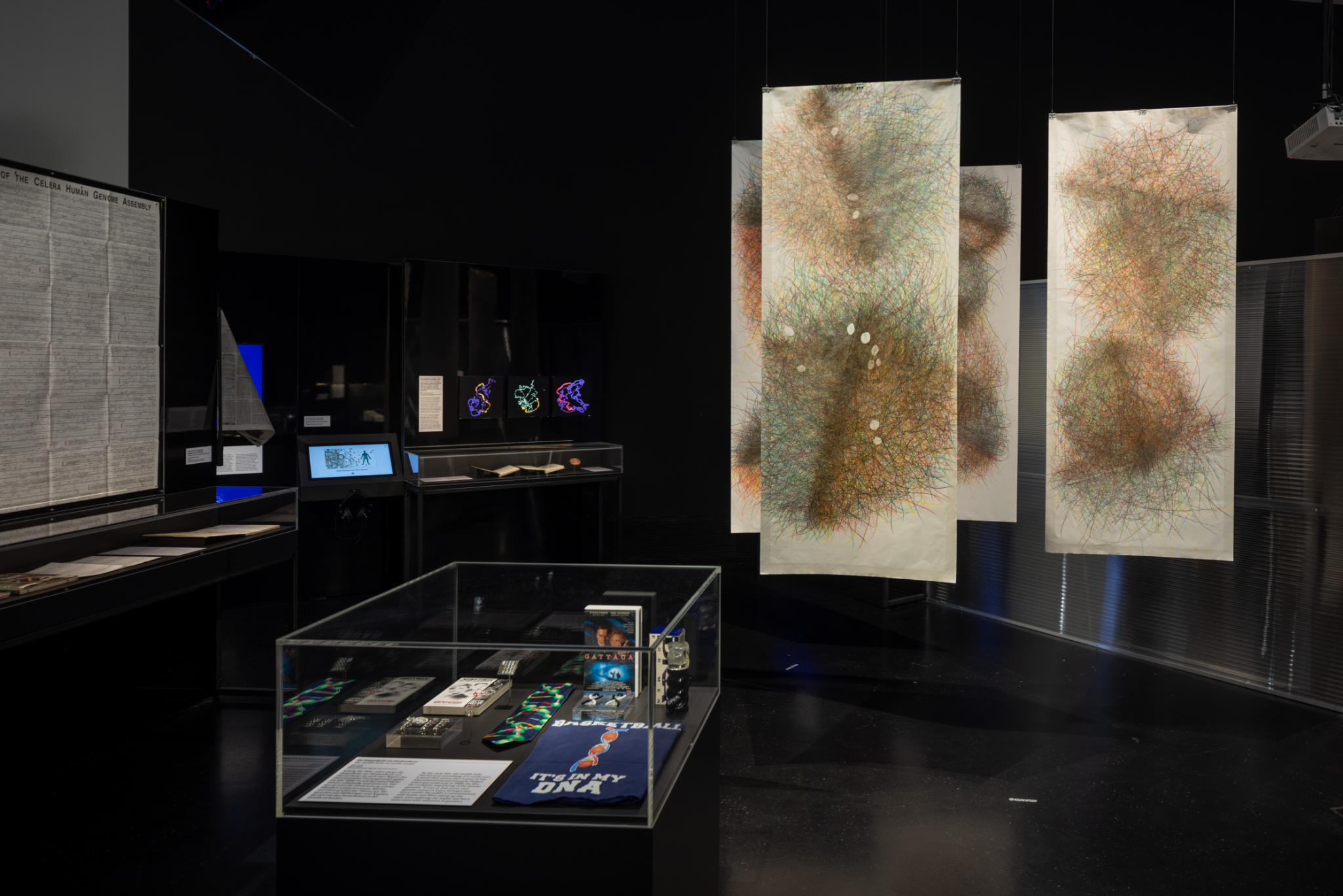 Katrin von Lehmann: Exhibition View: Of Genes and Human Beings. Who We Are, and Who We Might Become, 2023, Deutsches Hygiene-Museum Dresden (2023). Photo: David Brandt.