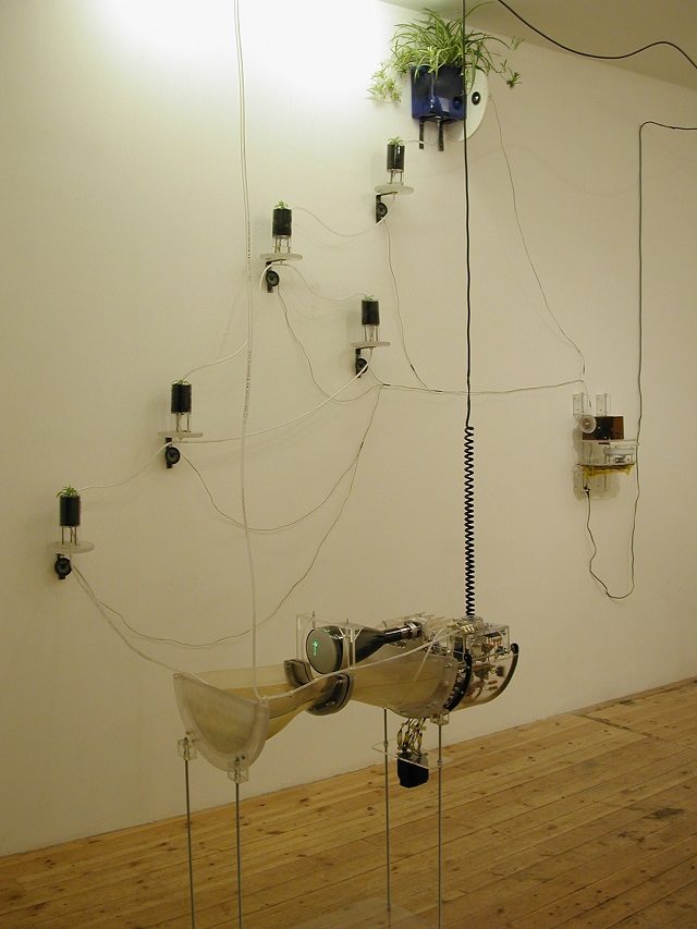 Marcus Ahlers: Frequency, 2003, plants, speakers, oscilloscope, radios.