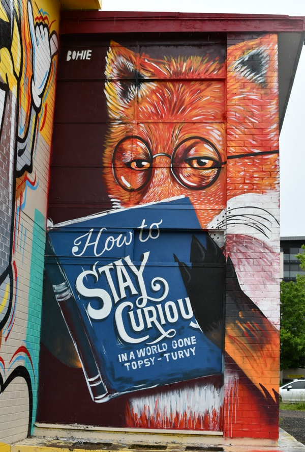 BOHIE: How to Stay Curious in a World Gone Topsy-Turvy (2020), fine art mural, Canberra, ACT. Photo: BOHIE.