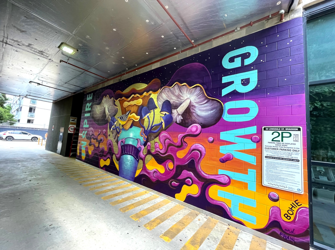 BOHIE: Inspire Growth (2022), created in partnership with NoWaste, ACT Government sustainability initiative. Mural for Surface Festival, Canberra, ACT. Photo: BOHIE.