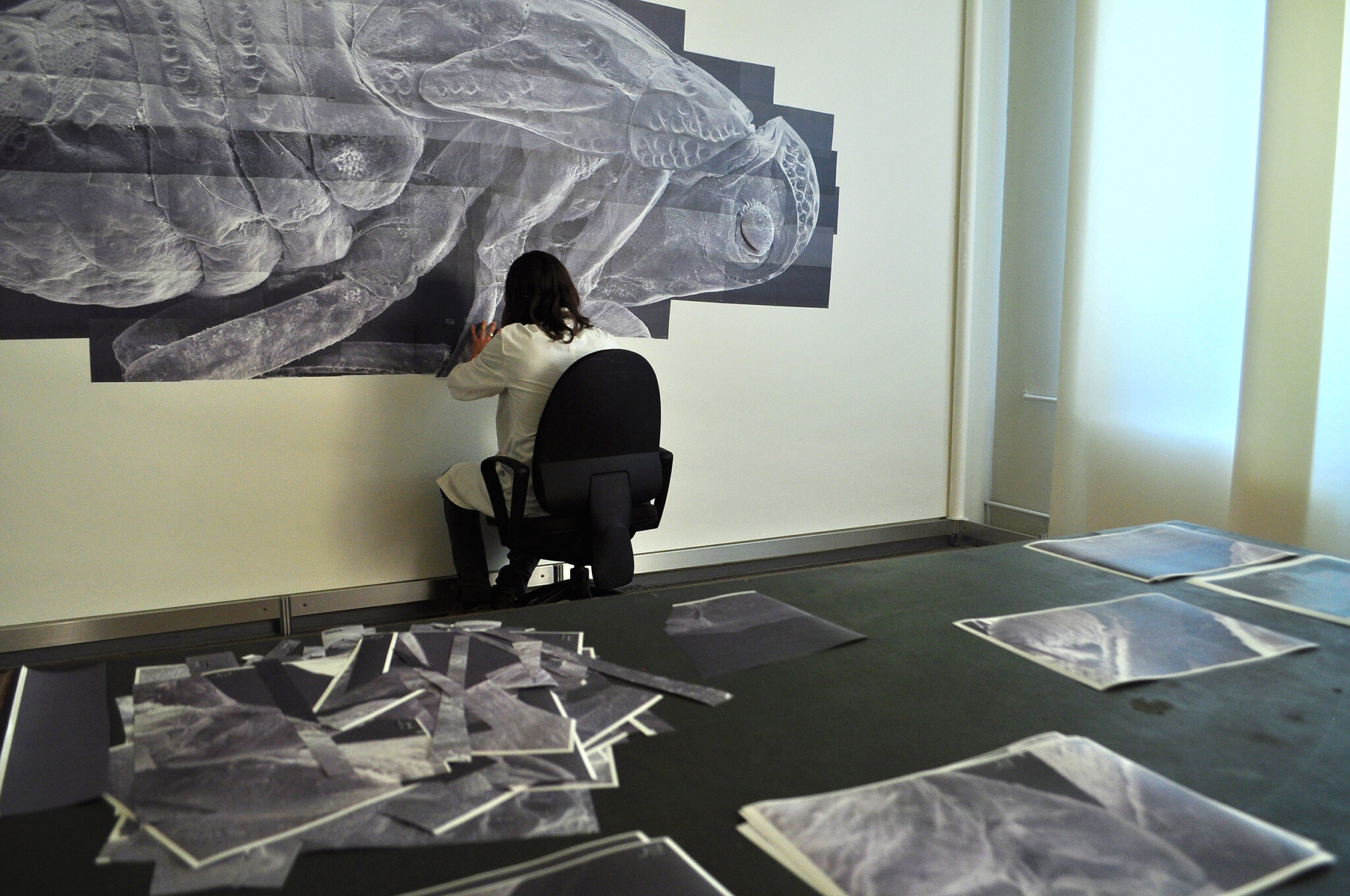 Working on the SEM collage, Natural History Museum, Berlin (2014). Photo: Julia Pietschmann.