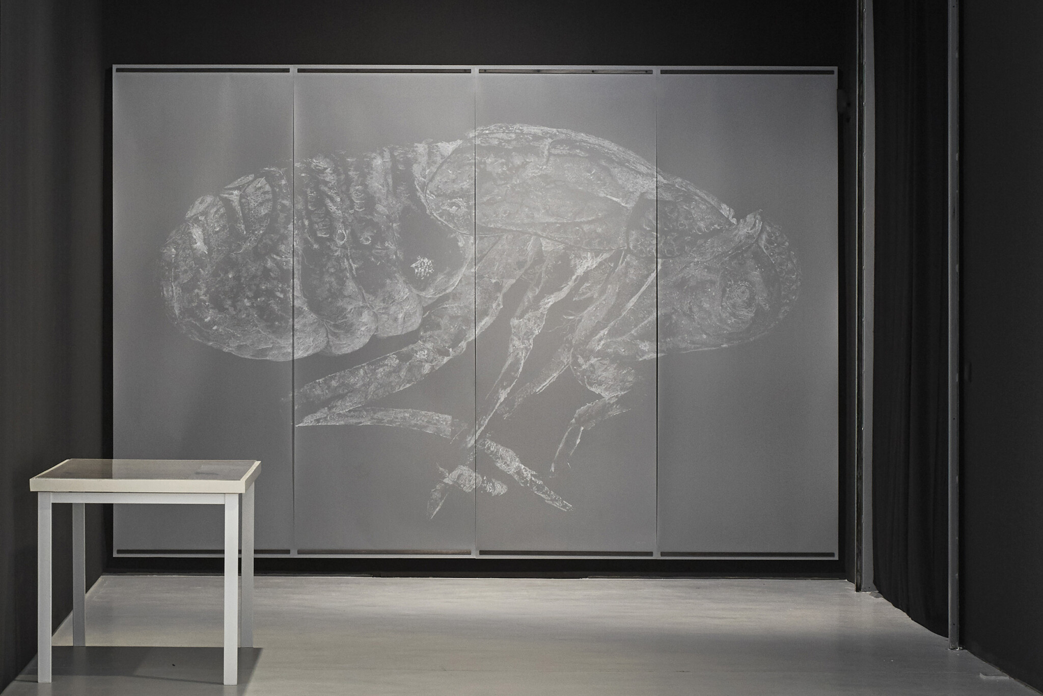 Oliver Thie: Expedition No. 10: Topographie des Übersehenen (2021 – 22). White pencil crayon on polyester drawing film on black wall, four strips, total 250 x 366 cm.